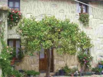 Hotel Casa Degli Aranci Villanovaforru Esterno foto